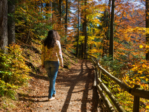 Align with Autumn: Ayurvedic Wisdom for your Health